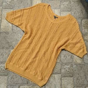 Express - knit short sleeve sweater